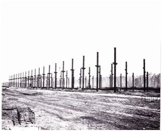 лесопильное производство_1