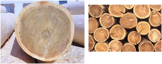 Оцилиндрованное бревно